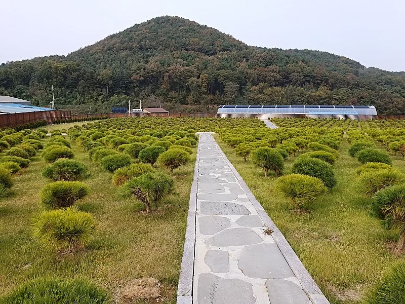 김포 애기봉자연장 조경 전경