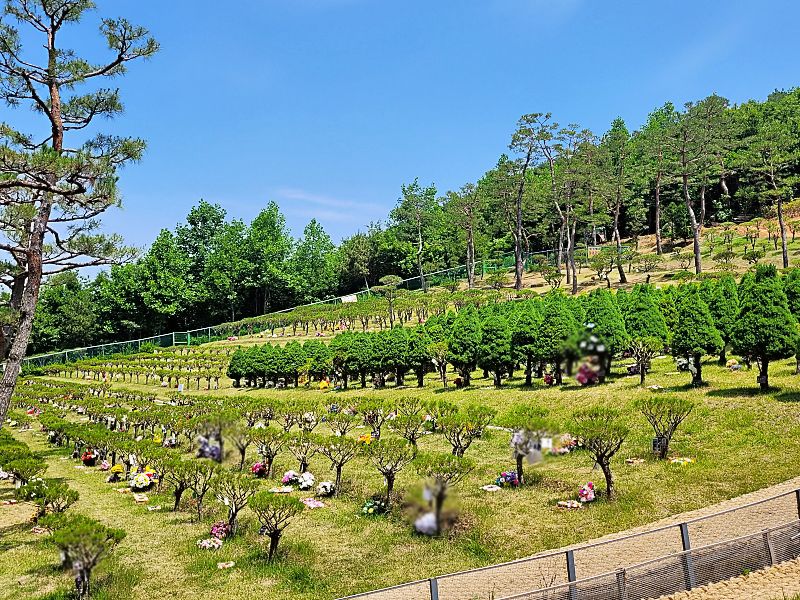 김포자연장 청솔수목장 시설 전경
