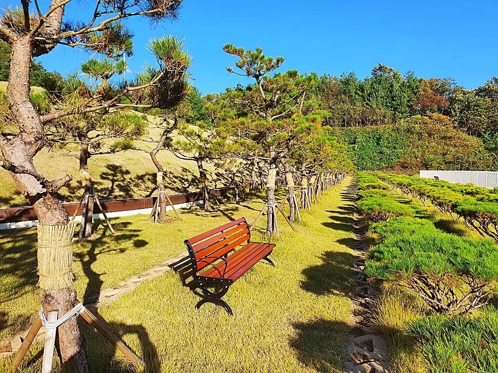 곤지암 자연장 소나무 안치 구역