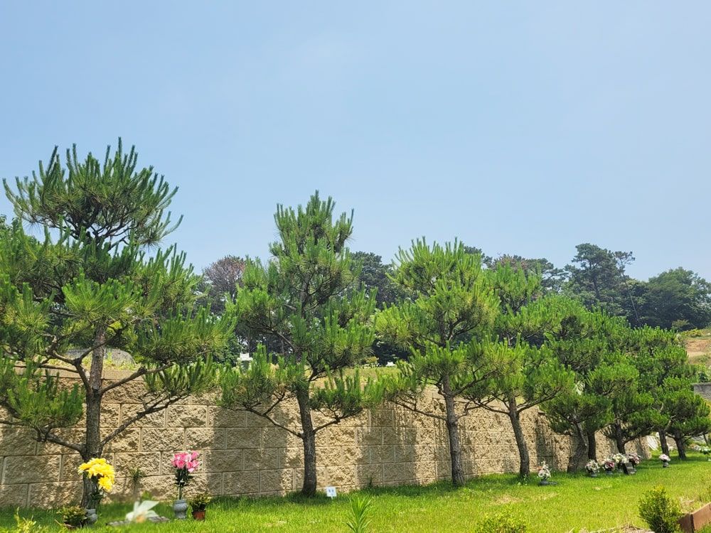 화성 자연장 시설 조경 전경