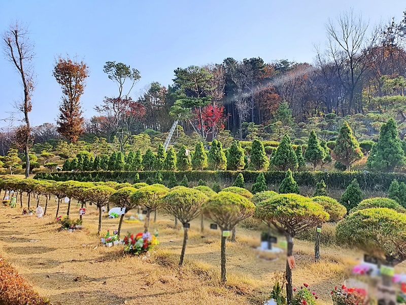 일산 자연장 수목장 구역 전경