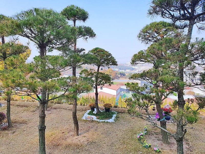 일산 자연장 야외 조경 전경