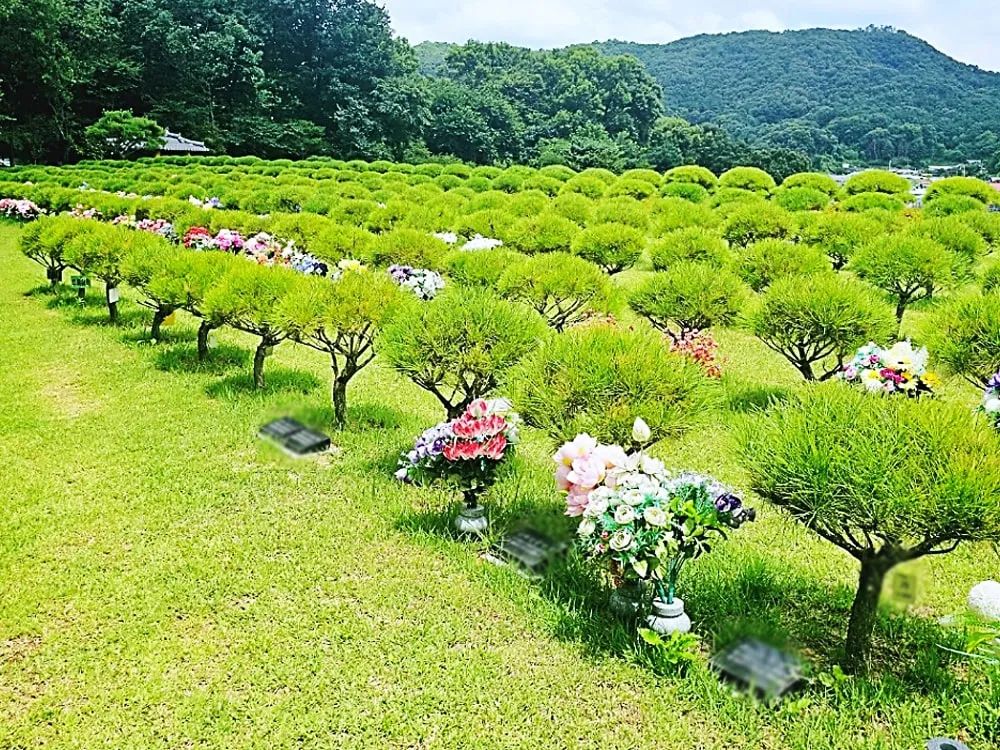 용인 자연장 수목 안치 구역 전경