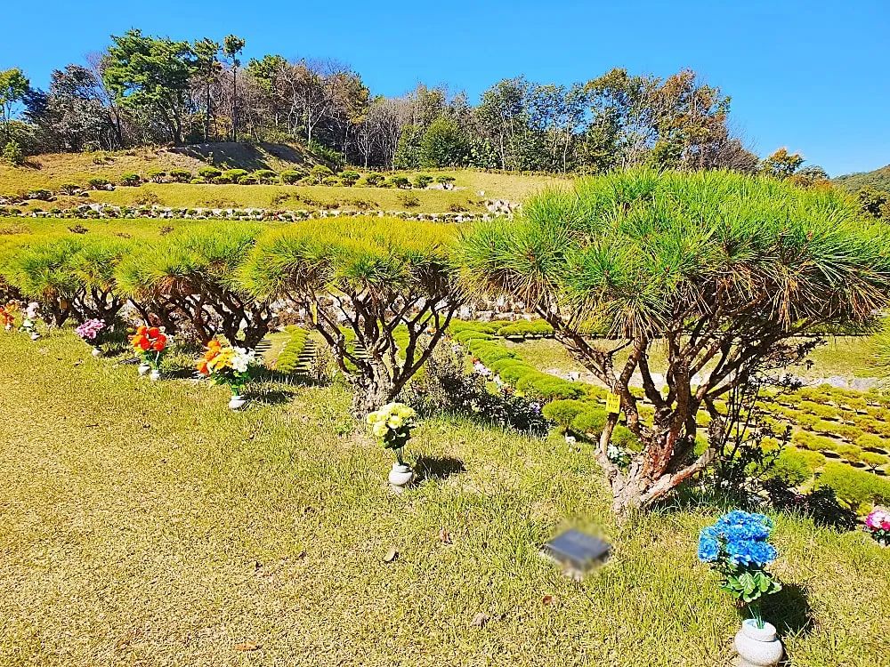 용인 자연장 수목장 안치 구역