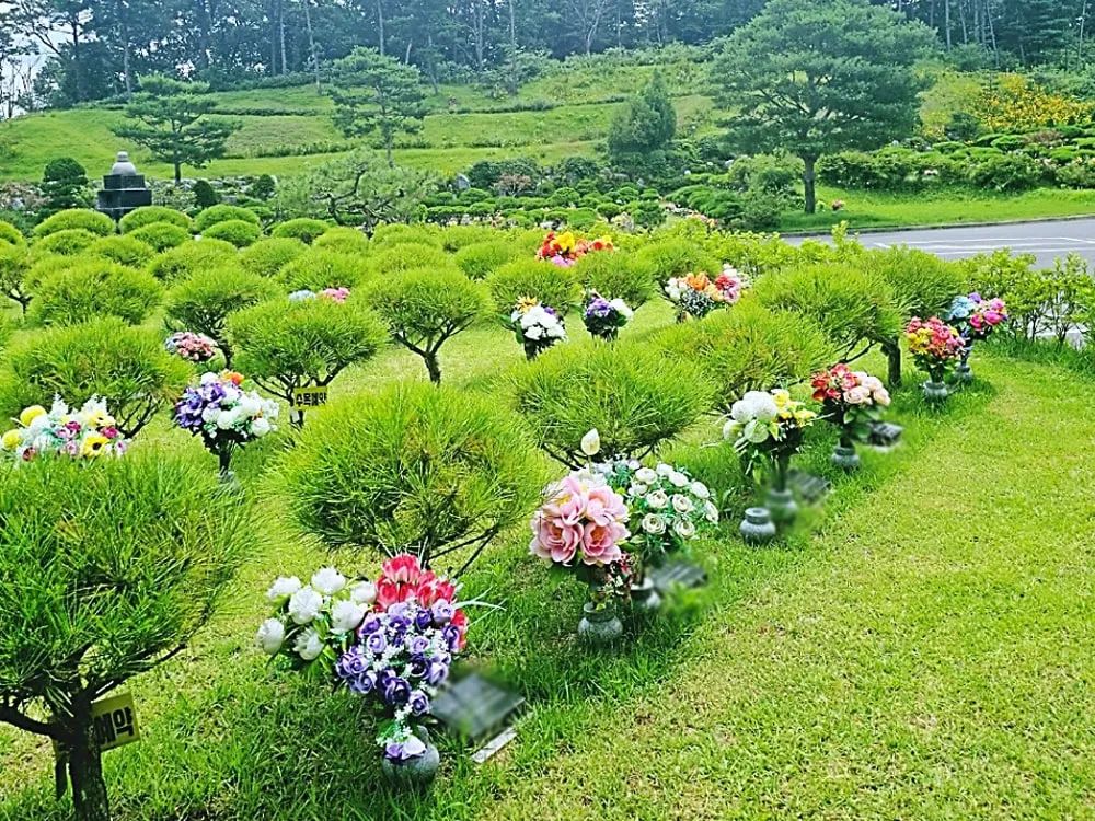 용인 자연장 전체 경관